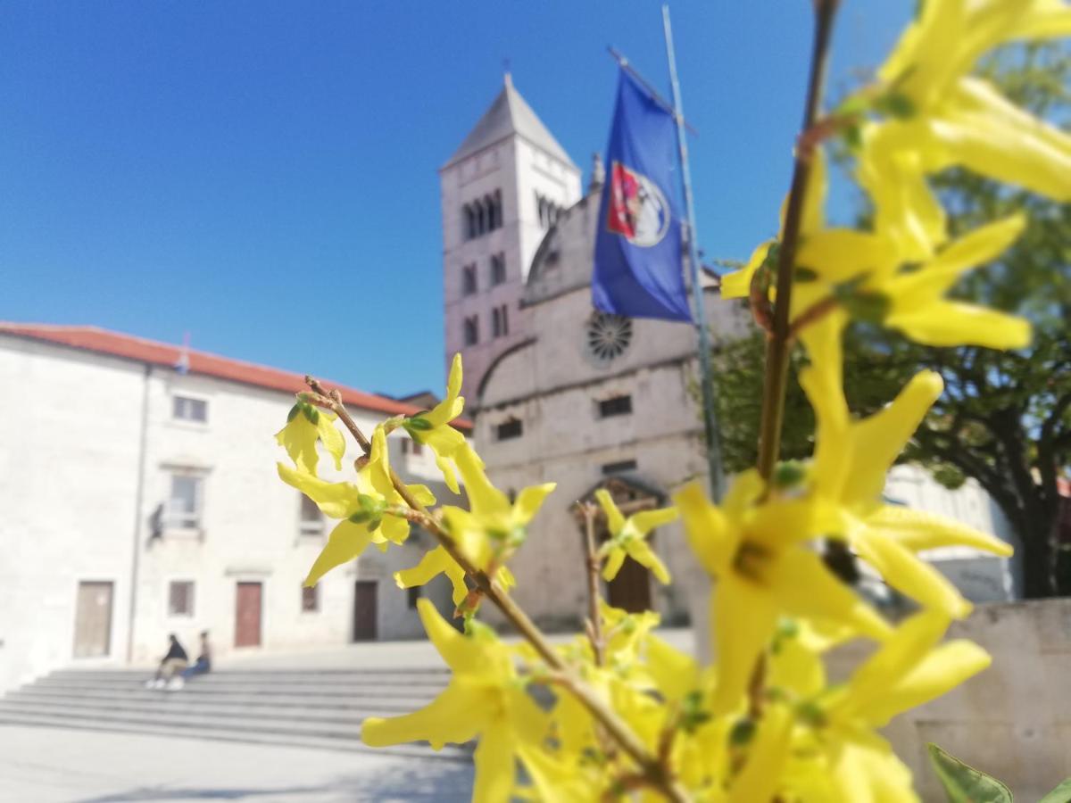 Apartman Pegla Zadar Buitenkant foto